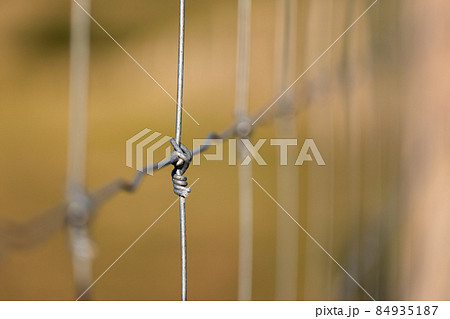 Close-up of wire fence creating enclosure Close-up of wire fence creating enclosure 84935187