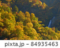 越後三山水無川の紅葉と越後駒ケ岳オツルミズ沢カグラ滝 84935463