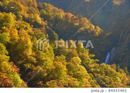 越後三山水無川の紅葉と越後駒ケ岳オツルミズ沢カグラ滝 越後三山水無川の紅葉と越後駒ケ岳オツルミズ沢カグラ滝 84935465