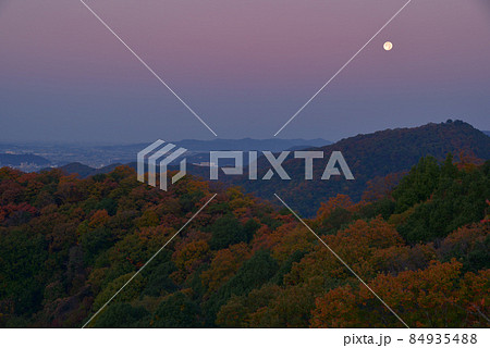 夜明け前の紅葉の尾根と西の空低くに見える満月 大小山南側の小ピークから大坊山方面を見る 夜明け前の紅葉の尾根と西の空低くに見える満月 大小山南側の小ピークから大坊山方面を見る 84935488