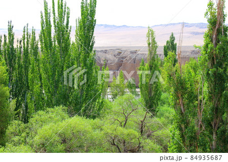 シルクロード紀行　　　美しき陽関と西千仏洞　　その2112 84935687