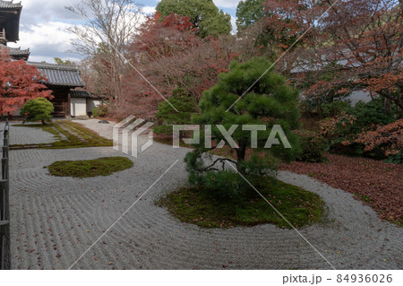 天授庵 庭園 天授庵 庭園 84936026