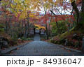 常寂光寺　紅葉 84936047