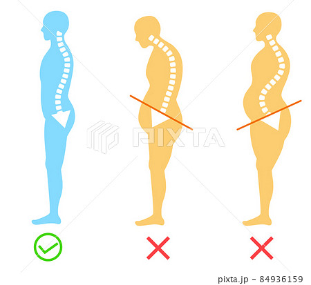 骨盤の前傾や後傾 正しい姿勢と体のイラストのイラスト素材