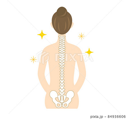 背骨が綺麗な女性の背中のイラスト 84936606
