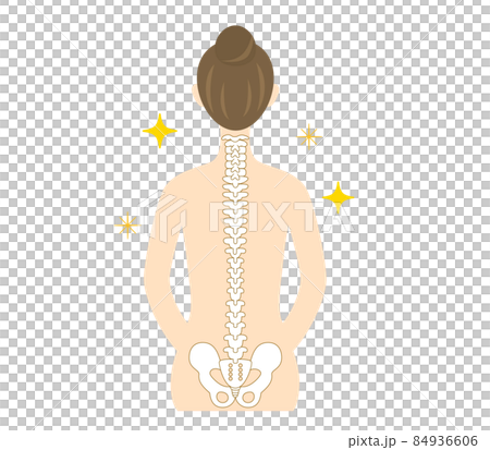 背骨が綺麗な女性の背中のイラスト 84936606