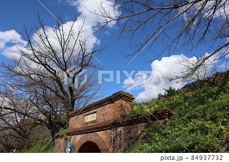白い雲と青空とねじりまんぽと冬枯れの樹と緑の草木のある風景 白い雲と青空とねじりまんぽと冬枯れの樹と緑の草木のある風景 84937732