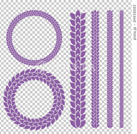 Wisteria vector illustration Wisteria vector illustration 84938085