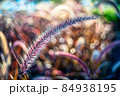 梁 ビーム 煌く 84938195