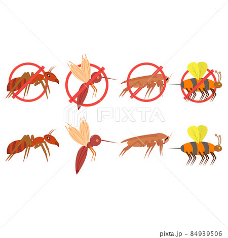 Insect pests vector. Mosquito, cockroach, ant, hornet, gnat and pest. illustration and clipart. Prohibition sign.  84939506