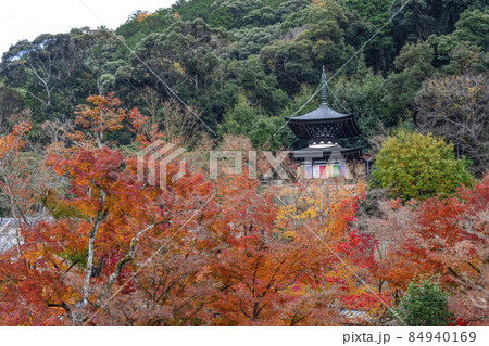 京都　晩秋の永観堂　多宝塔 84940169