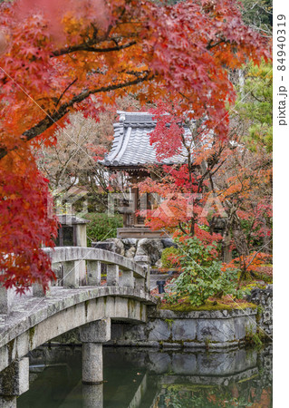 京都 晩秋の永観堂 京都 晩秋の永観堂 84940319