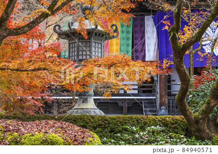 京都 晩秋の永観堂 京都 晩秋の永観堂 84940571