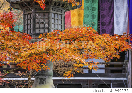 京都 晩秋の永観堂 京都 晩秋の永観堂 84940572