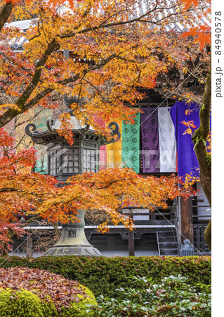 京都 晩秋の永観堂 京都 晩秋の永観堂 84940578