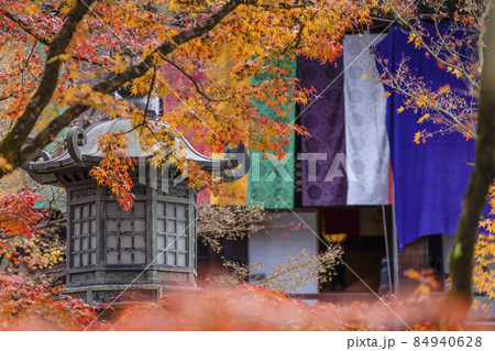 京都 晩秋の永観堂 京都 晩秋の永観堂 84940628