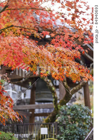 京都 晩秋の永観堂 鐘楼 京都 晩秋の永観堂 鐘楼 84940693