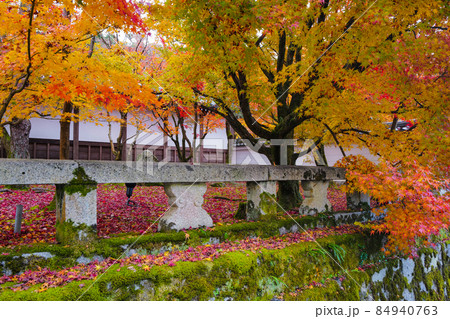 京都 晩秋の永観堂 総門前の紅葉 京都 晩秋の永観堂 総門前の紅葉 84940763