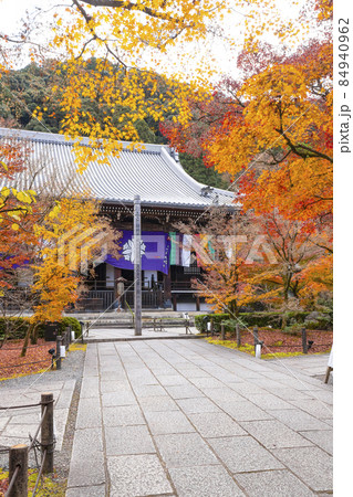 京都 晩秋の永観堂 御影堂 京都 晩秋の永観堂 御影堂 84940962