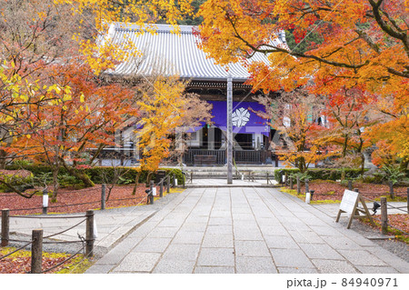 京都 晩秋の永観堂 御影堂 京都 晩秋の永観堂 御影堂 84940971