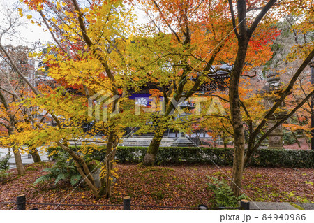 京都 晩秋の永観堂 京都 晩秋の永観堂 84940986