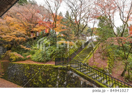 京都　晩秋の永観堂 84941027
