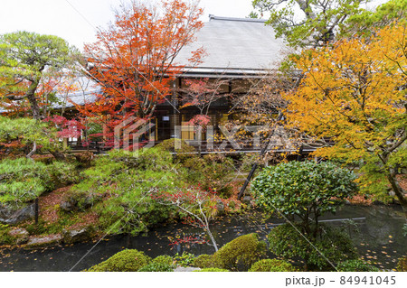 京都　晩秋の永観堂 84941045