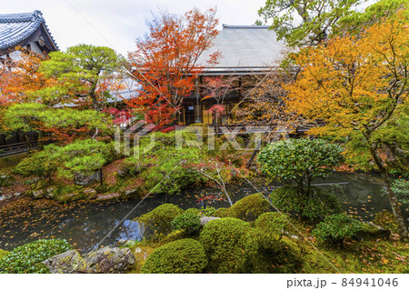 京都　晩秋の永観堂 84941046