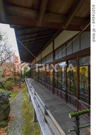 京都 晩秋の永観堂 京都 晩秋の永観堂 84941059
