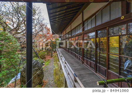 京都 晩秋の永観堂 京都 晩秋の永観堂 84941060