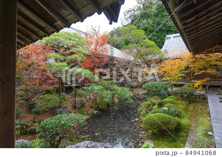 京都 晩秋の永観堂 京都 晩秋の永観堂 84941068
