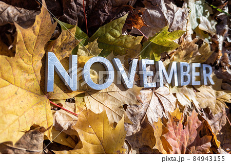 the word november laid with metal letters over yellow autumn fallen leaves - closeup with selective focus the word november laid with metal letters over yellow autumn fallen leaves - closeup with selective focus 84943155