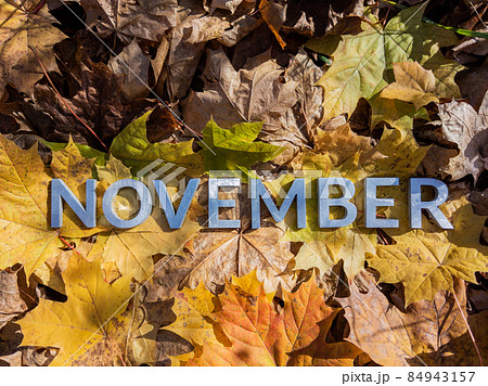 the word november laid with metal letters over yellow autumn fallen leaves - closeup with selective focus the word november laid with metal letters over yellow autumn fallen leaves - closeup with selective focus 84943157