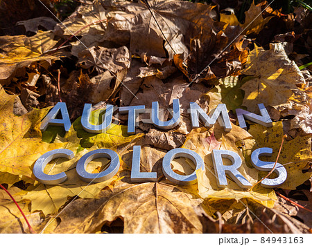 the words autumn colors laid with metal letters over yellow autumn fallen leaves - closeup with selective focus the words autumn colors laid with metal letters over yellow autumn fallen leaves - closeup with selective focus 84943163