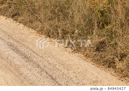 dusty dry dirt road with wild grass thickets on its side dusty dry dirt road with wild grass thickets on its side 84943427