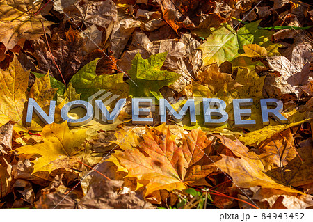 the word november laid with metal letters over yellow autumn fallen leaves - closeup with selective focus the word november laid with metal letters over yellow autumn fallen leaves - closeup with selective focus 84943452