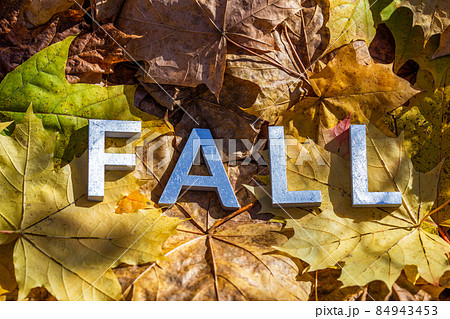 the word lall laid with metal letters over yellow autumn fallen leaves - closeup with selective focus the word lall laid with metal letters over yellow autumn fallen leaves - closeup with selective focus 84943453