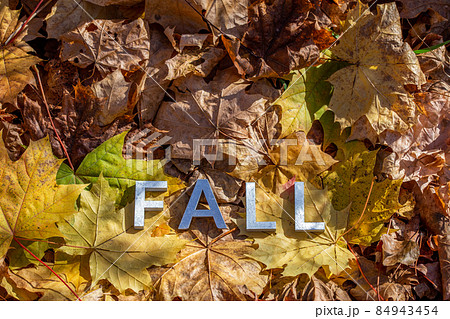 the word fall laid with metal letters over yellow autumn fallen leaves - closeup with selective focus 84943454