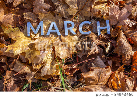 the word march laid with silver metal letters on the ground dry maple leaves the word march laid with silver metal letters on the ground dry maple leaves 84943466