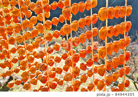 【吊るし柿 (干し柿)】 串柿の里：和歌山県伊都郡かつらぎ町 84944305