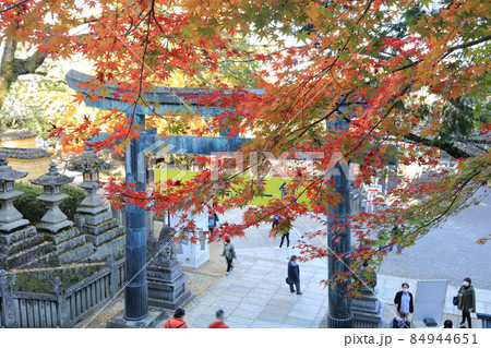 金刀比羅宮、社務所門前から桜馬場西詰銅鳥居を見る 84944651