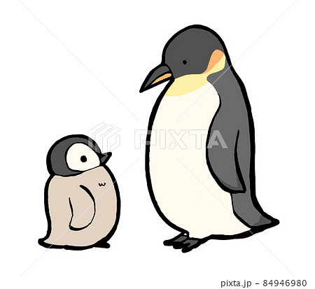 コウテイペンギン親子の手描きイラスト 84946980