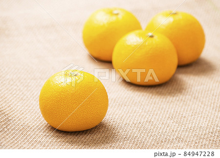 八朔 ハッサク はっさく 果物 サンフルーツ 八朔 ハッサク はっさく 果物 サンフルーツ 84947228