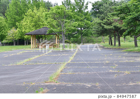 コンクリートの継ぎ目に雑草が生えている公園の一角 84947587