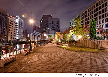 大阪中之島の紅葉と夜景 84947658