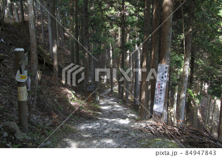 三峰山表参道コース(埼玉県秩父市) 三峰山表参道コース(埼玉県秩父市) 84947843