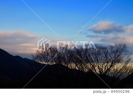 夜明け前の山と樹木 84950296