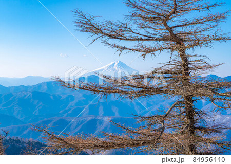 冬の雲取山の登山風景【東京都】 冬の雲取山の登山風景【東京都】 84956440