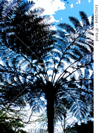 illustration. View of the blue sky through the large leaves of tropical palm trees 84957043