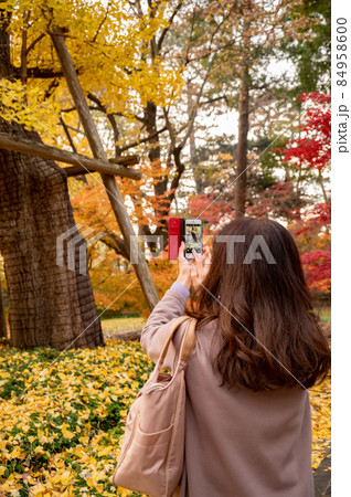 スマホで紅葉を撮影する女性 84958600